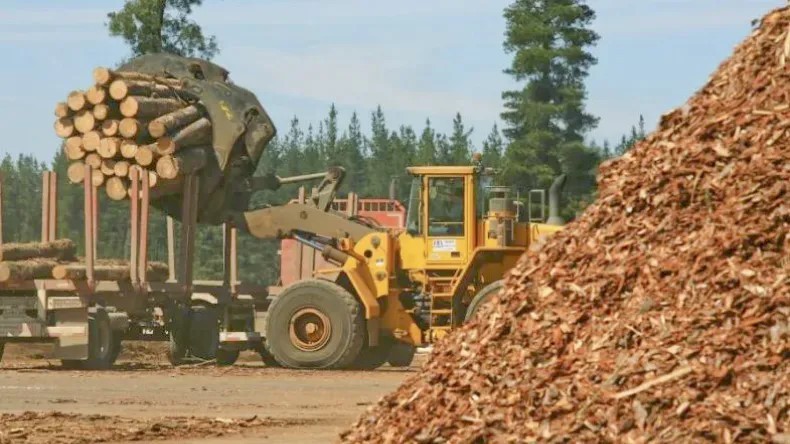 Madereros operan a menos del 50% de su capacidad y crean comité de crisis