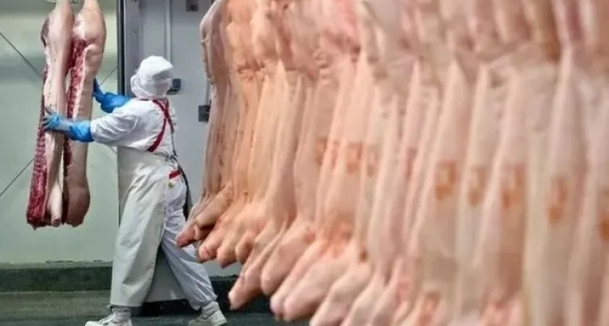 Argentina vuelve a exportar carne vacuna sin ninguna restricción