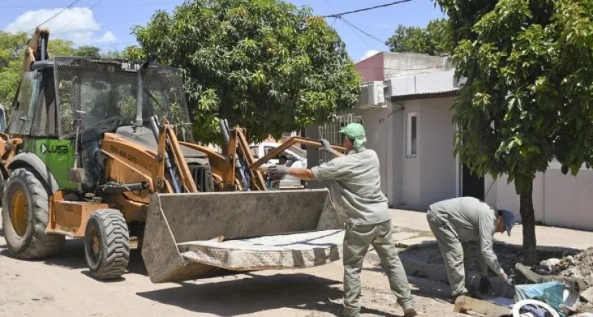 Dengue: 100 casos con epicentro en Capital y San Luis del Palmar