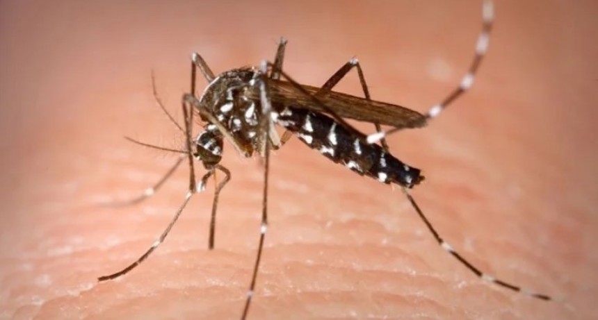 Corrientes suma otra muerte por dengue
