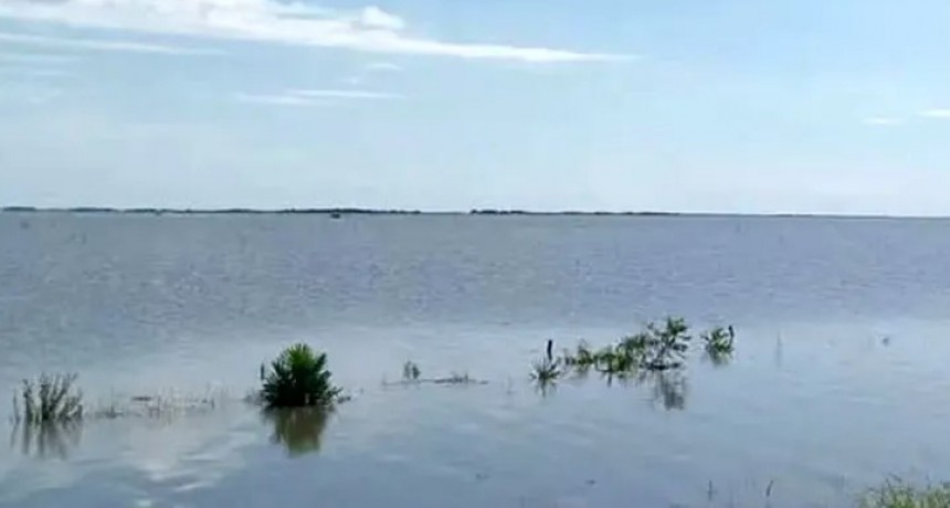 Se estima que por la inundación ser perdieron miles de hectáreas de arroz