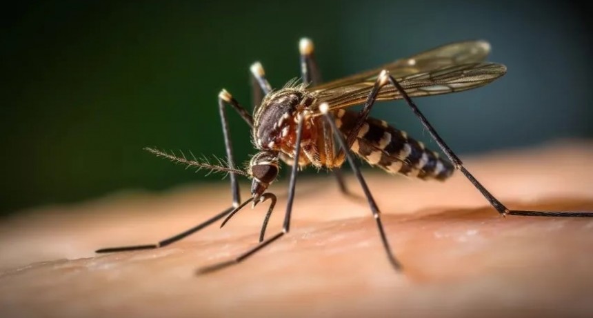 Localidad correntina acumula 25 casos de dengue desde el inicio del brote