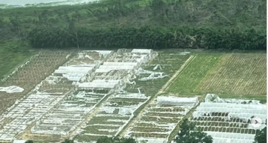 Horticultura correntina en jaque: pérdidas por USD 50 millones y 200 despidos