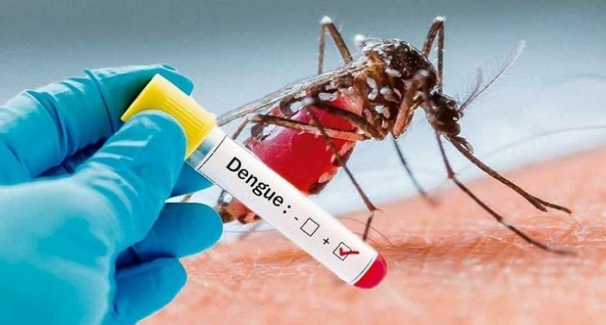 Alerta dengue: ya son 10 los muertos en Corrientes y hay 201 casos activos