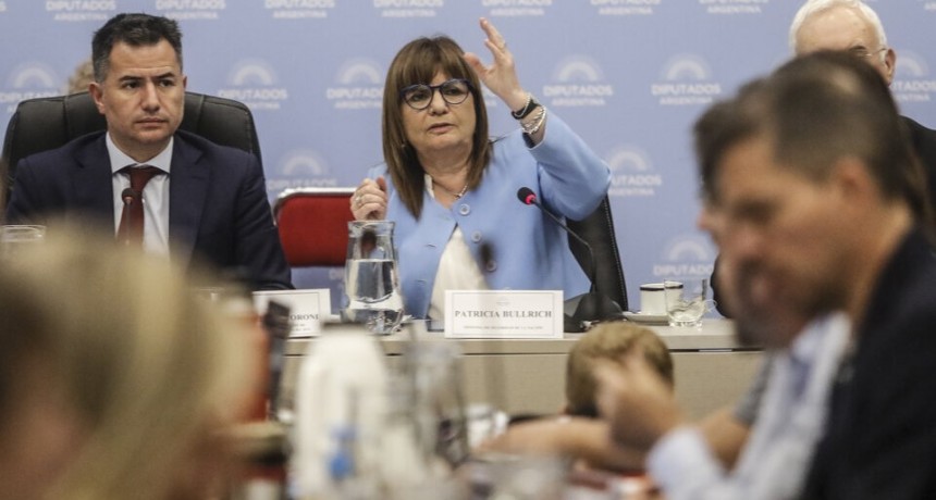 La ONU pidió participar del debate sobre la ley ómnibus de Javier Milei