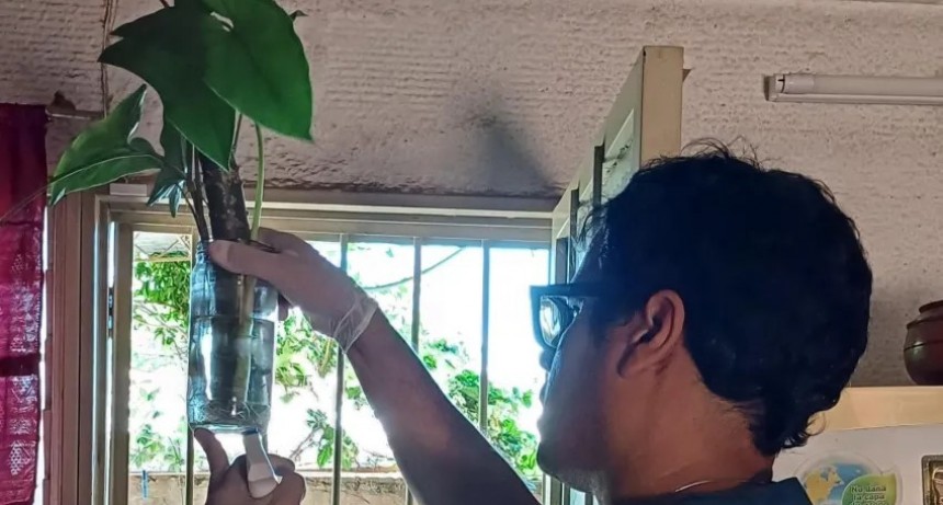 Salud insiste en intensificar tareas de prevención por Dengue ante el movimiento turístico