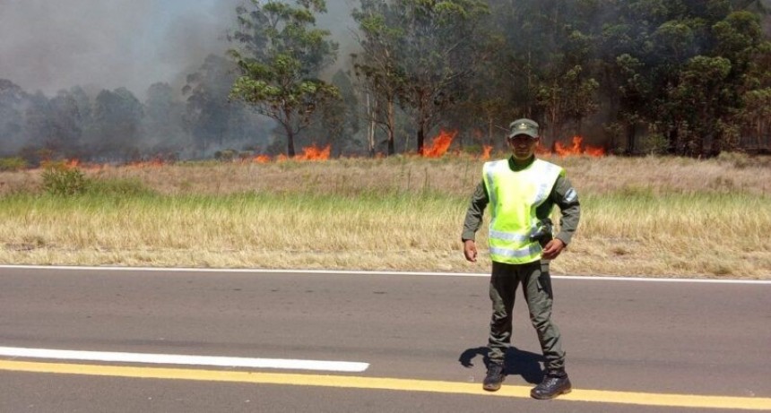 Grave incendio en campos sobre Ruta Nacional N° 14