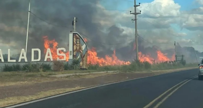 Incendio en Saladas arrasa campos y un aserradero