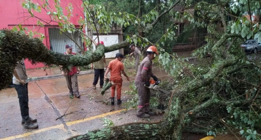 Más de 50 casas afectadas por un fuerte temporal en Santo Tomé
