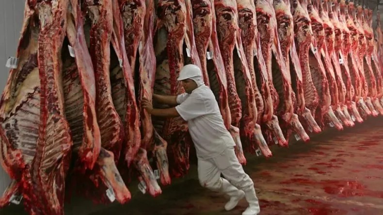 Las sombras detrás de la lucha contra el abigeato en La Cruz