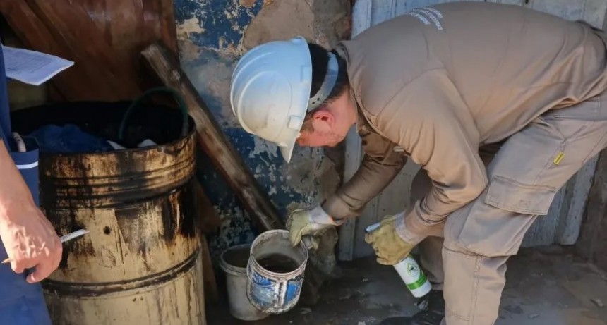 Salud Pública recomienda fortalecer las acciones contra el Dengue luego de la lluvia