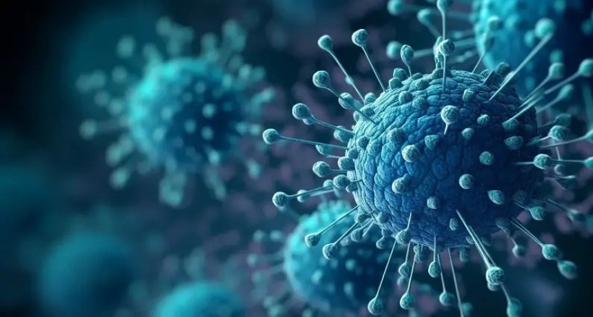 Avanza la “Supergripe” H3N2 en la Argentina: preocupación por su rápido contagio y su pronta aparición en el país