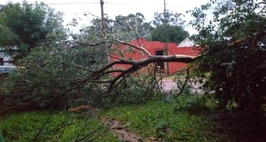 Violento temporal en Mburucuyá: voladura de techos, árboles caídos y todo el pueblo sin luz