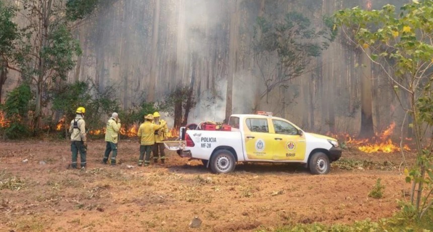Valdés, sobre los incendios en Corrientes: 