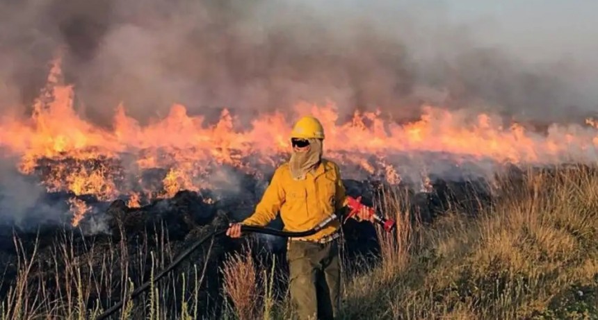 Gustavo Valdés, sobre los incendios en Corrientes: 