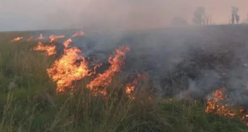 Incendios: una semana en la que el fuego se llevó la vida de una persona