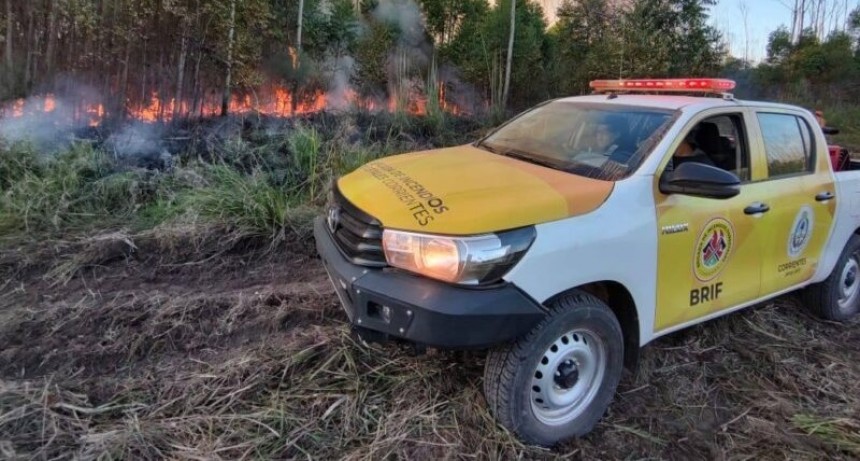La Provincia publicó un informe oficial sobre la situación ígnea en Corrientes