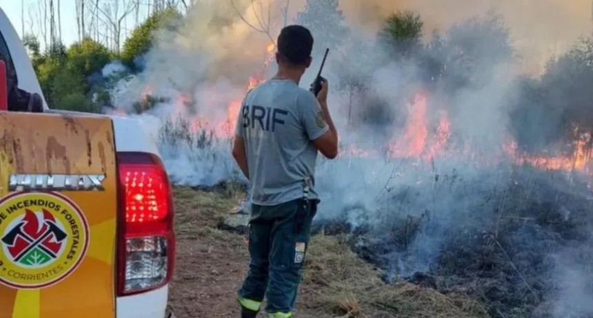 Incendios en Corrientes: productores enfrentan un 