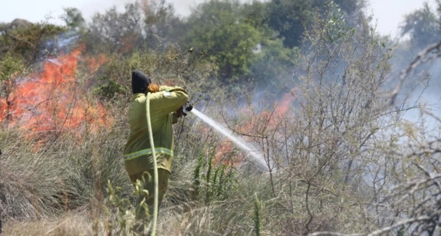Más de 94.000 hectáreas fueron destruidas por el fuego: cuáles fueron las localidades más afectadas