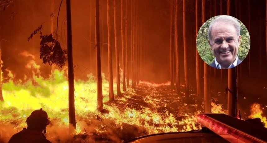 Incendios en Argentina: el que será el nuevo subsecretario de Ambiente admitió que era una 