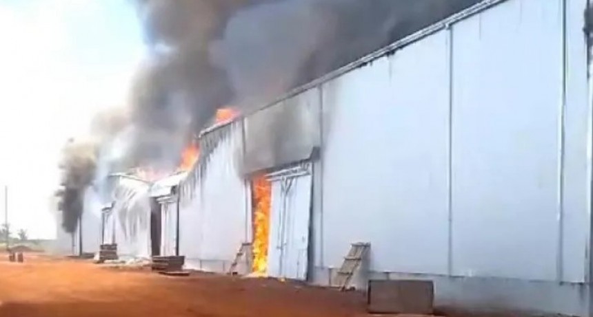 Conmoción por incendio de gran magnitud en la yerbatera Playadito