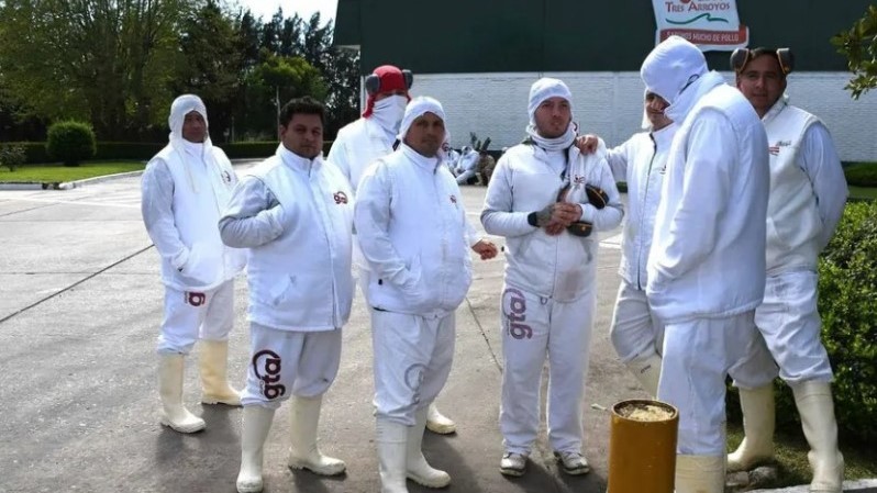 El gigante avícola Granja Tres Arroyos al borde del abismo: importaciones y crisis ponen en riesgo 450 empleos