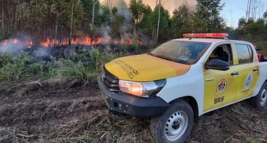 Alerta Roja en La Cruz: El peligro de incendios alcanza niveles 