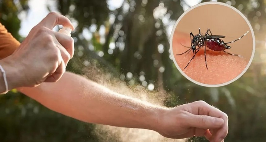 Confirmado: Corrientes registra su primer caso de dengue de 2026