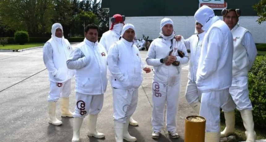 El gigante avícola Granja Tres Arroyos al borde del abismo: importaciones y crisis ponen en riesgo 450 empleos