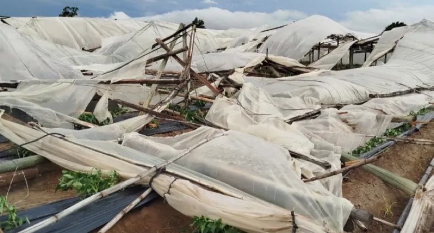 Desolaci&oacute;n en el campo correntino: El granizo y el viento devastaron la producci&oacute;n en Mocoret&aacute;, Lavalle y Santa Luc&iacute;a