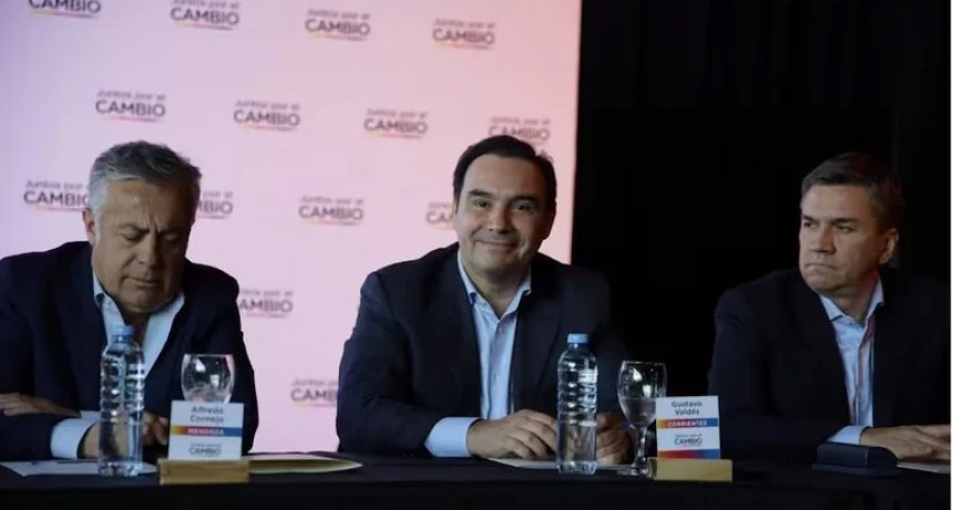 UCR dividida por el DNU: Valdés y otros referentes se distanciaron de Lousteau 