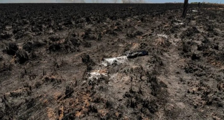 Declaran la inconstitucionalidad de la parte del DNU que derogó la Ley de Tierras