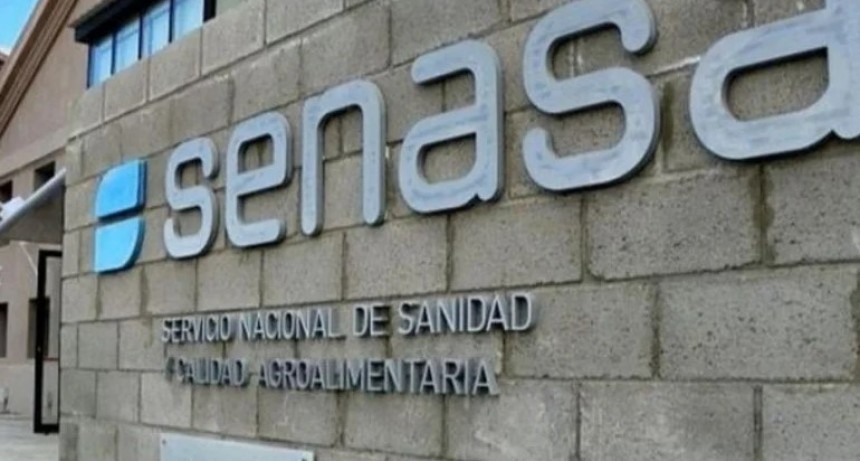 Paro de 48 horas en SENASA por despidos: se paralizan las exportaciones