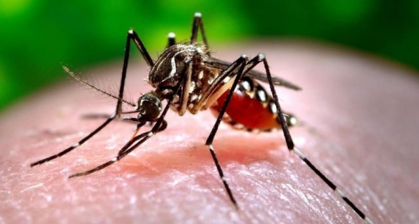 Nueva muerte por dengue en Corrientes