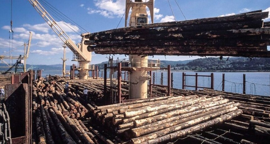 El derrumbe del imperio de la madera