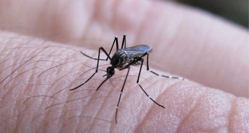 Corrientes: detectan casos de dengue y refuerzan la prevención
