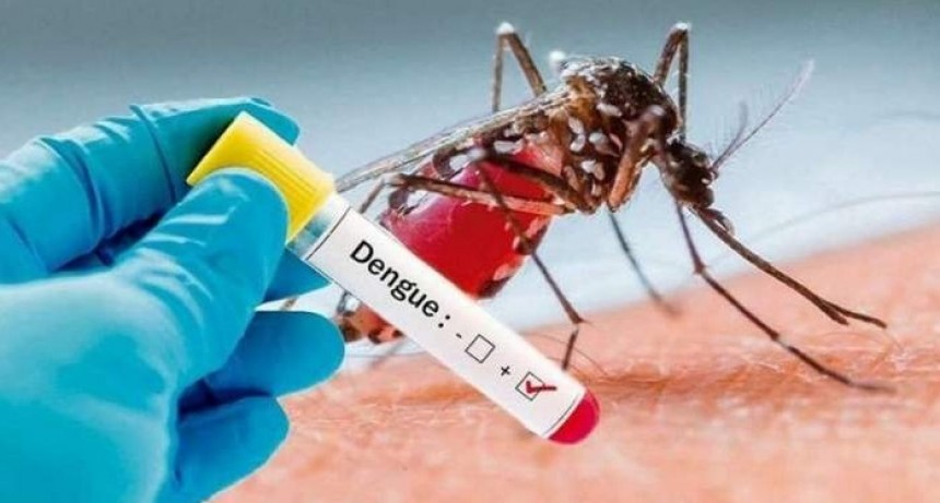 Preocupación por el aumento de casos de dengue en Esquina