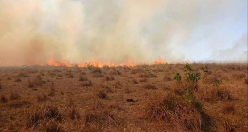 Incendios San Luis: 