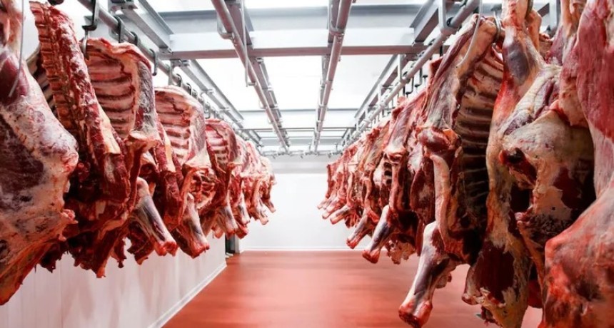 R&eacute;cord hist&oacute;rico negativo: El consumo de carne en Argentina retrocedi&oacute; dos d&eacute;cadas