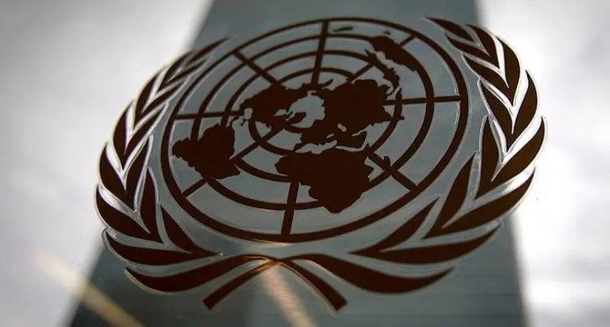 Dura advertencia de la ONU: El liderazgo de Argentina en Derechos Humanos, bajo amenaza