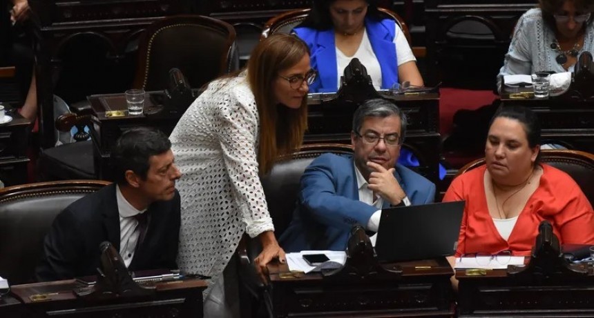 El kirchnerismo suma a un sector de la UCR y al socialismo a una jornada contra el DNU de Milei