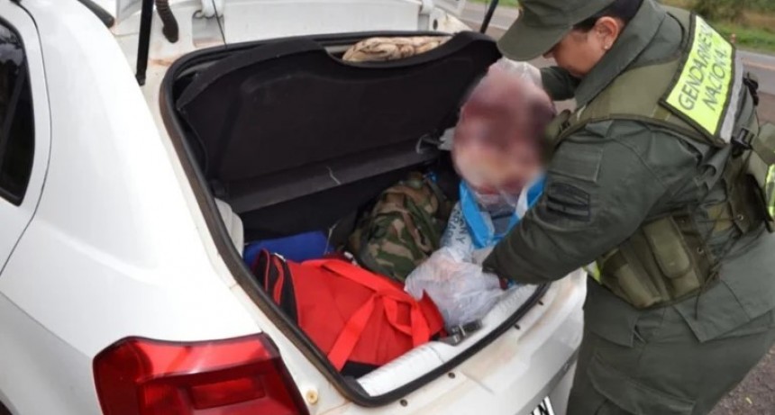 Incautaron carne faenada y un arma de fuego: hay tres detenidos