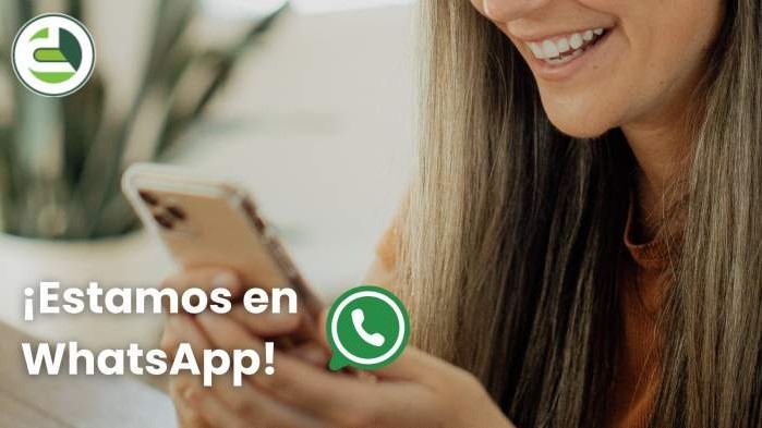 La Dpec habilitó la consulta y pago de facturas por Whatsapp