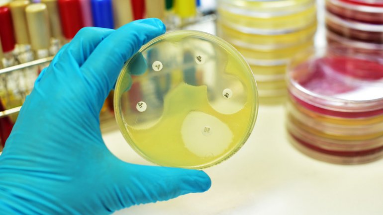 Se registraron dos casos de meningitis bacteriana