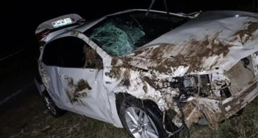 Siniestro vial en la Ruta 123: un autom&oacute;vil despist&oacute; tras colisionar contra un animal salvaje cerca de Mercedes