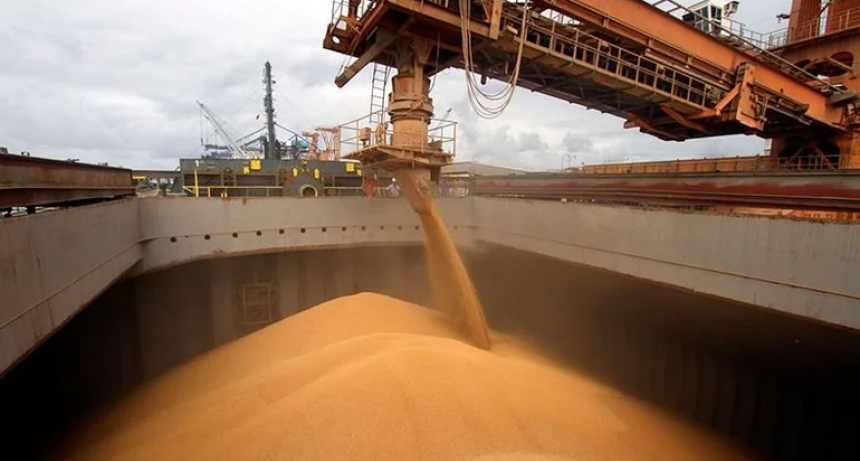 Productores adelantan que no van a liquidar: 