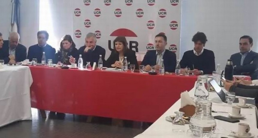 Con Valdés, la UCR ratificó apoyo a Bullrich