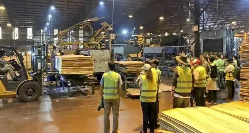 Maderera paralizó su producción y dejó en suspenso a más de 500 trabajadores