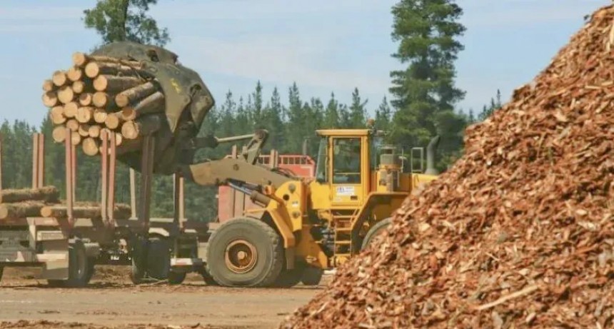 Madereros operan a menos del 50% de su capacidad y crean comité de crisis