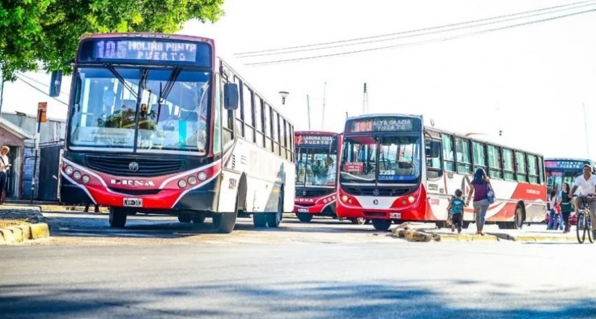 Elecciones provinciales: el domingo habrá colectivos gratuitos para ir a votar
